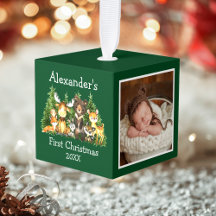 Baby First Christmas Forest Animals Green Foto