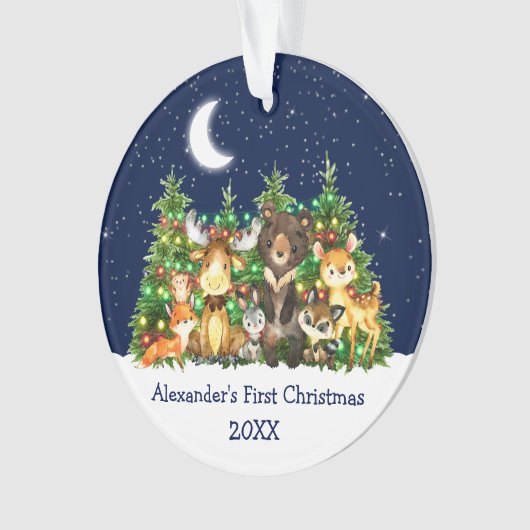 Baby First Christmas Forest Animals Lights Sky Ornament (Vorderseite)