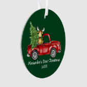 Baby First Christmas Red Truck Moose Green Ornament (Vorderseite)