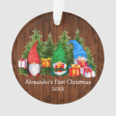 Baby First Christmas Watercolor Gnomes Rustic Ornament (Vorderseite)