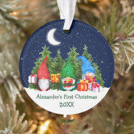 Baby First Christmas Watercolor Gnomes Trees Ornament