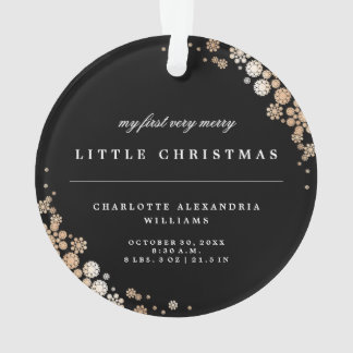 Baby First Christmas Winter Snowflakes Foto Birth Ornament