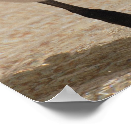 Baby Flamingo Poster (Ecke)