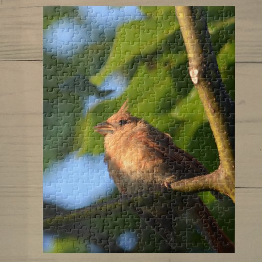 Baby Fledgling Kardinal Fotografisches Jigsaw Puzz Puzzle