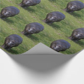 Baby-Flusspferd-Packpapier Geschenkpapier (Ecke)