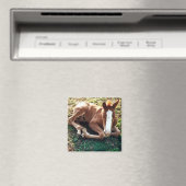Baby foal Magnet Horse (In Situ (Geschirrspüler))