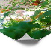 Baby Fox Poster (Ecke)