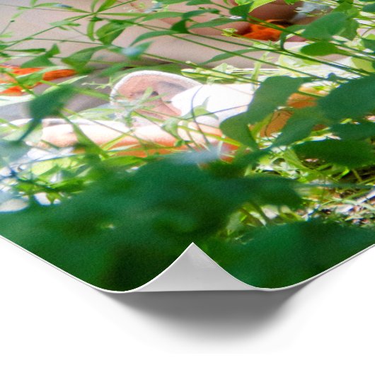 Baby Fox Poster (Ecke)