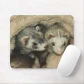 Baby-Frettchen Gewindebohrer und Jills Mousepad (Mit Mouse)