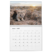 Baby Füchse 2027 Kalender (Mär 2027)