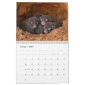 Baby Füchse 2027 Kalender (Jan 2027)