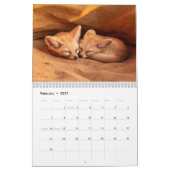 Baby Füchse 2027 Kalender (Feb 2027)