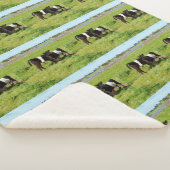 Baby Galloway Calves, Med Sherpa Blanket Sherpadecke (3/4)