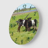 Baby Galloway Calves, Wall Clock Große Wanduhr (Winkel)