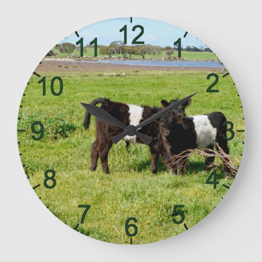 Baby Galloway Calves, Wall Clock Große Wanduhr (Vorderseite)