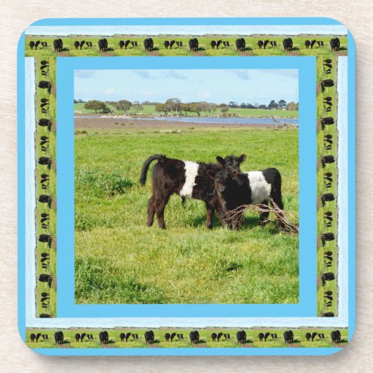 Baby Galloway Cows, Getränkeuntersetzer (Vorderseite)