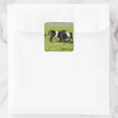Baby Galloway Kuh, Square Stickers (Tasche)