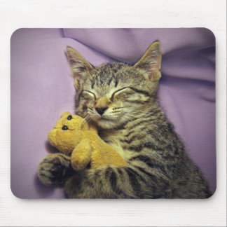 Baby-Gänseblümchen-Miezekatze-Katzen-Kätzchen, das Mousepad