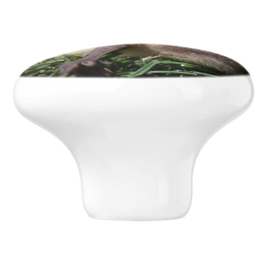 Baby-Gänsegoslings-Vogel-Tier-Tier-Griff Keramikknauf (Seitenansicht)