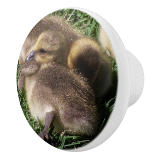 Baby-Gänsegoslings-Vogel-Tier-Tier-Griff Keramikknauf (Rechts)