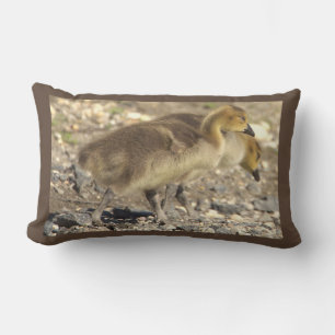 Baby Geese Foto Kissen