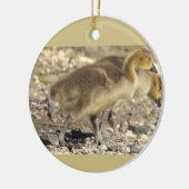 Baby Geese Foto Ornament (Links)