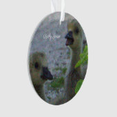 Baby Geese Foto Ornament (Vorderseite)