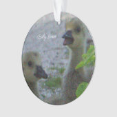 Baby Geese Foto Ornament (Vorderseite)