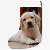 Baby-gelbes Labrador-Hündchen, das auf Bauch legt Kleiner Weihnachtsstrumpf (Rückseite)