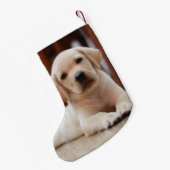 Baby-gelbes Labrador-Hündchen, das auf Bauch legt Kleiner Weihnachtsstrumpf (Rückseite (Hängend))