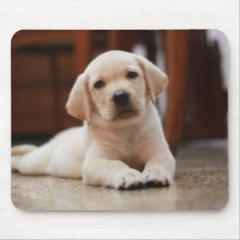 Baby-gelbes Labrador-Hündchen, das auf Bauch legt Mousepad