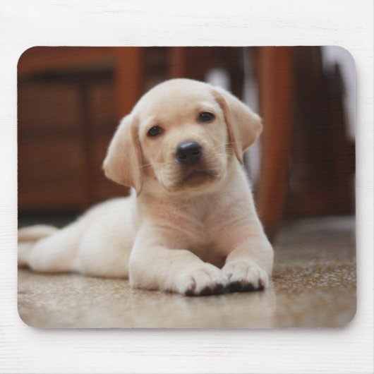 Baby-gelbes Labrador-Hündchen, das auf Bauch legt Mousepad (Vorne)