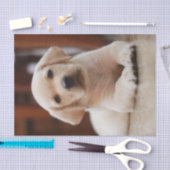 Baby-gelbes Labrador-Hündchen, das auf Bauch legt Seidenpapier (Handwerk)