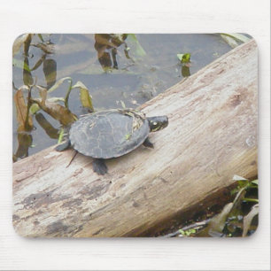 Baby gemalte Schildkröte Mousepad