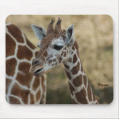 Baby-Giraffe 02 Mousepad (Vorne)