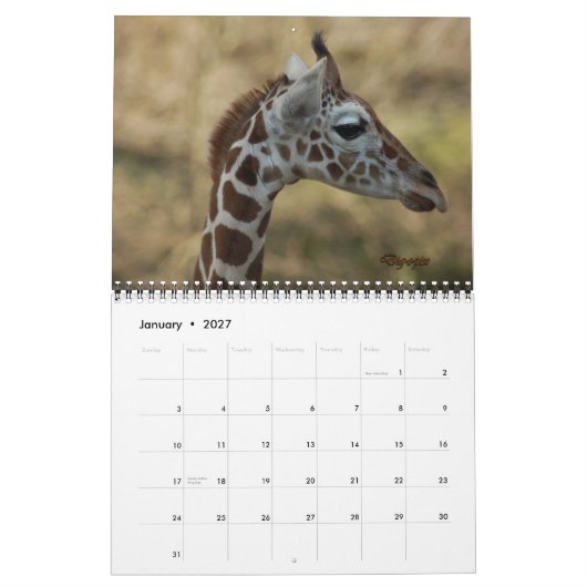Baby Giraffe 2012 Kalender (Jan 2027)