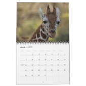 Baby Giraffe 2012 Kalender (Mär 2027)