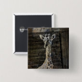 Baby Giraffe Button (Vorne & Hinten)