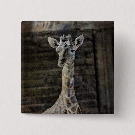 Baby Giraffe Button (Vorderseite)