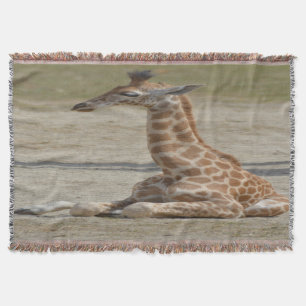 Baby Giraffe Decke