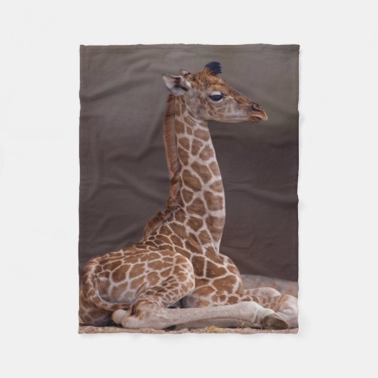 Baby Giraffe Fleece Blanket (Vorderseite)