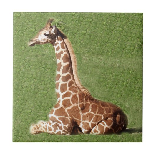 Baby-Giraffe Fliese (Vorderseite)