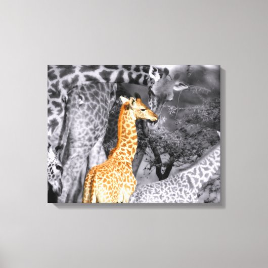 Baby Giraffe Leinwanddruck (Vorderseite)