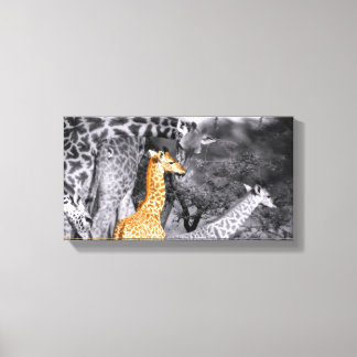 Baby Giraffe Leinwanddruck