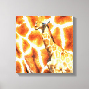 Baby Giraffe Leinwanddruck