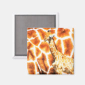 Baby Giraffe Magnet (Vorderseite/Rückseite)