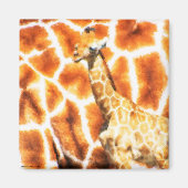 Baby Giraffe Magnet (Vorne)