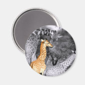 Baby Giraffe Magnet (Vorderseite/Rückseite)
