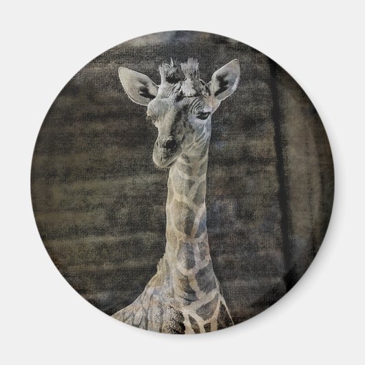Baby Giraffe Magnet (Vorne)