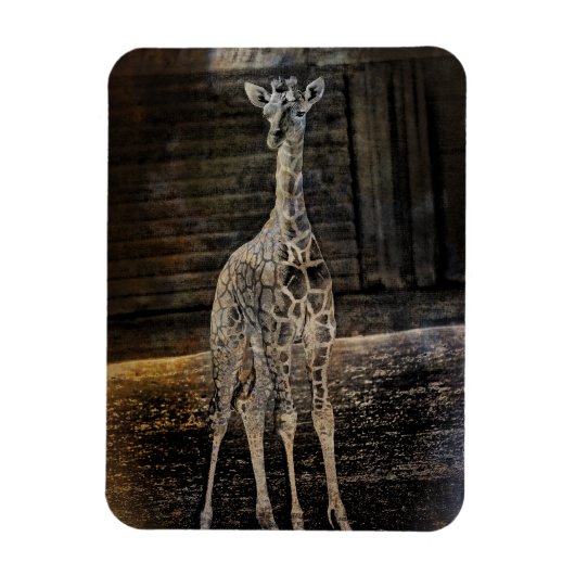 Baby Giraffe Magnet (Vertikal)